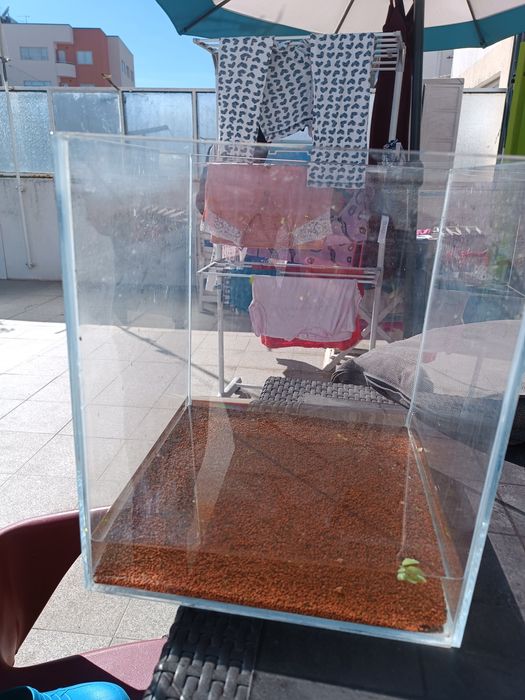 Aquário 30×30×35 6mm usado com arranhões