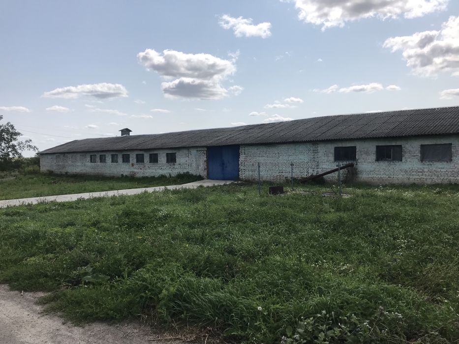 Здам нежитлове приміщення в оренду