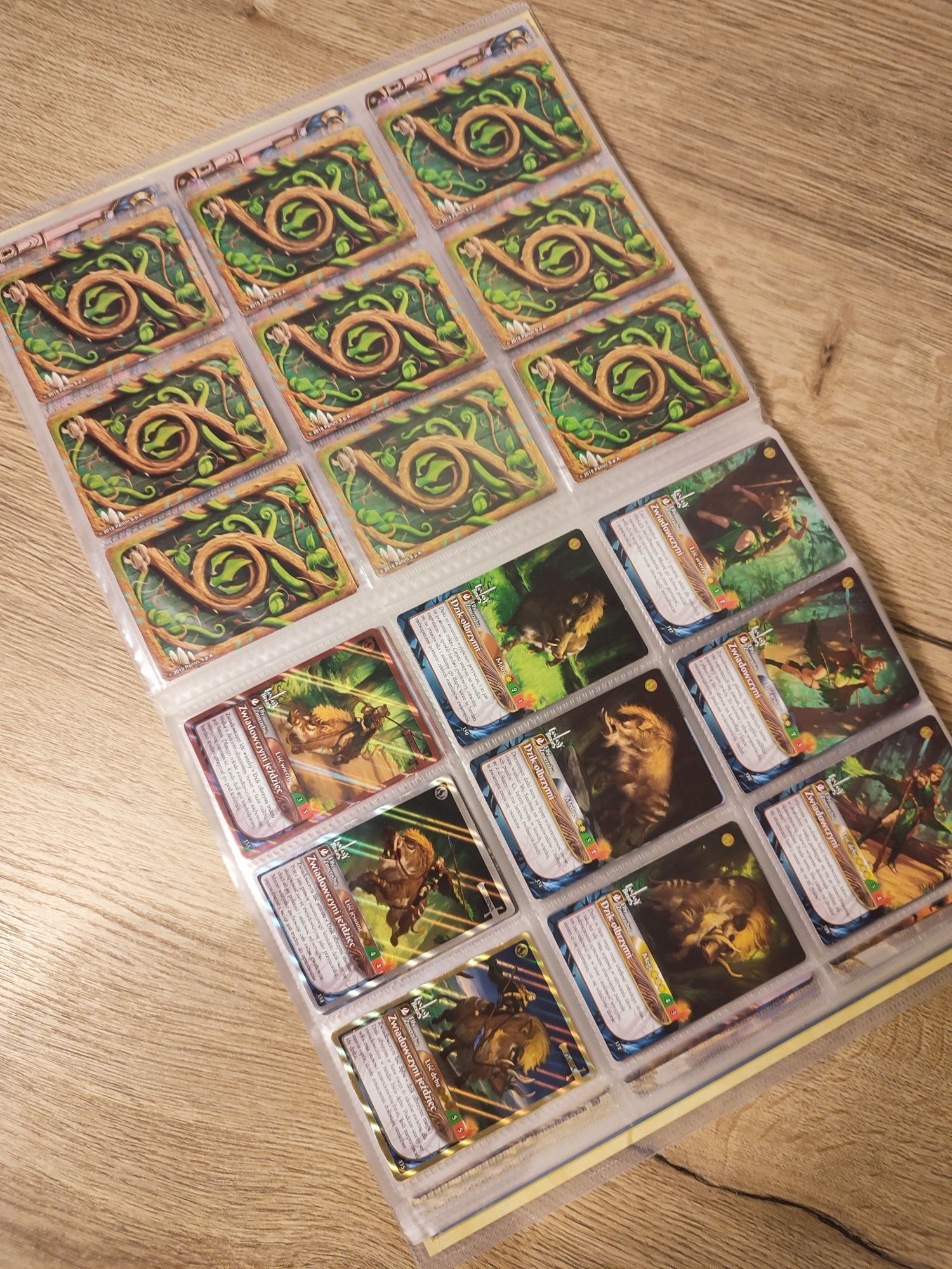 Fantasy Riders Panini album + 374 karty kolekcjonerska gra karciana
