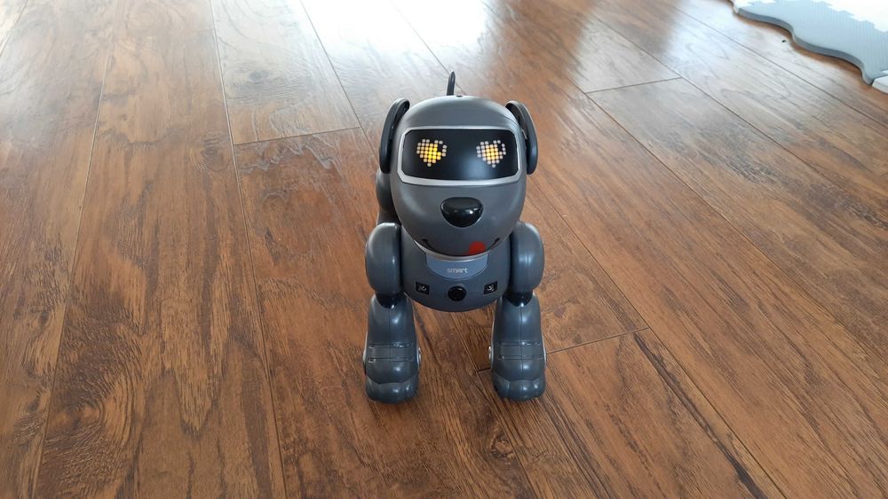 Robot pies zdalnie sterowany