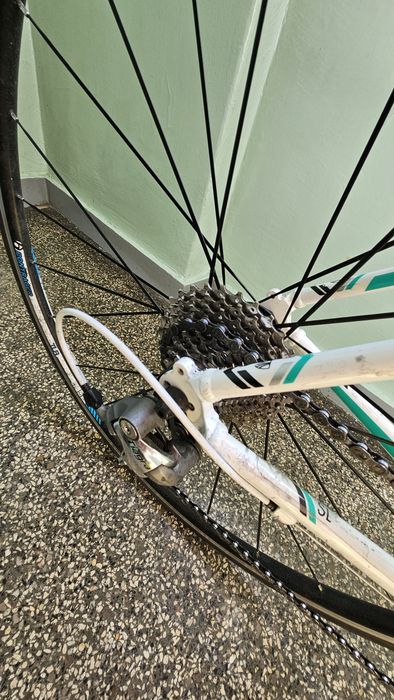 Rower szosowy Trek lexa sl