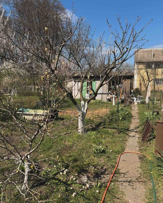 Продам дом с участком СТ Стеновик