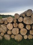 Drewno kominkowe opałowe Buk
