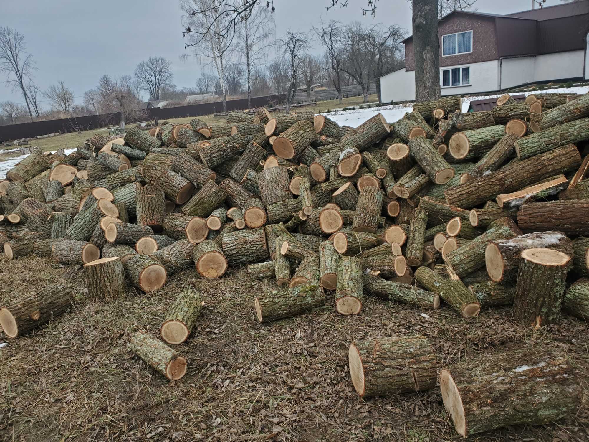 Продам дрова Сосна, Дуб, Осика,  щільно складені