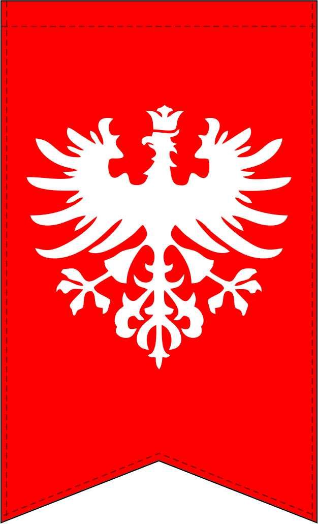 Flagi POWSTANIE WIELKOPOLSKIE 105x165 flaga powstania wlkp XL