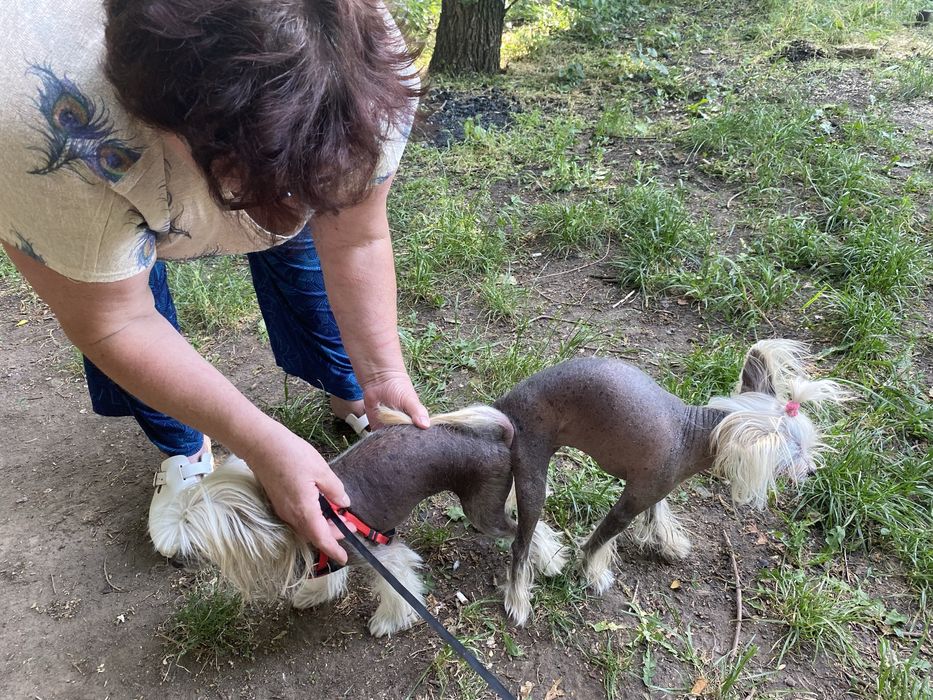 Голий кітайський пацан шукає собі невєху