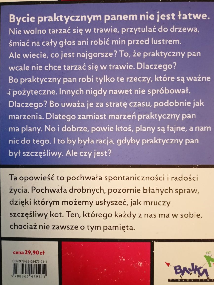 Praktyczny   pan