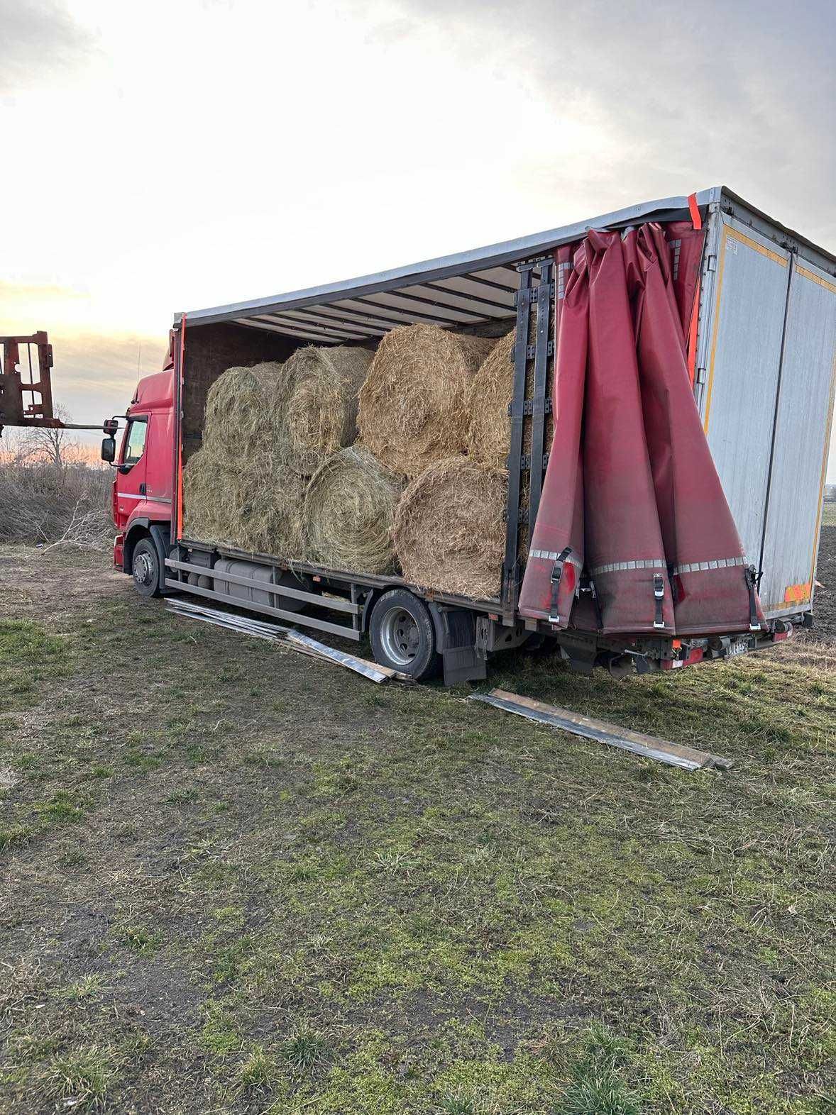 Usługi transportowe, transport towarów.