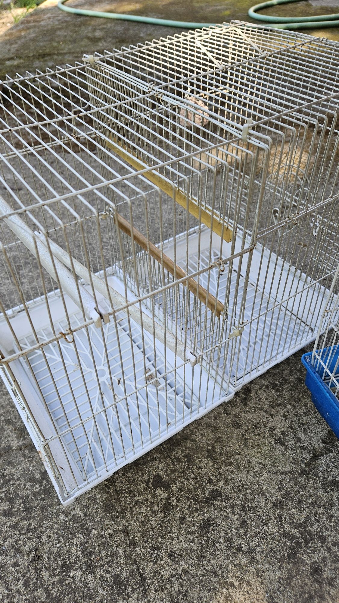 3 gaiolas para pássaros