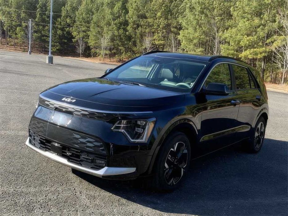 Kia Niro EV Wave      2024