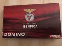 Jogo de dominó do Benfica, ano 2007