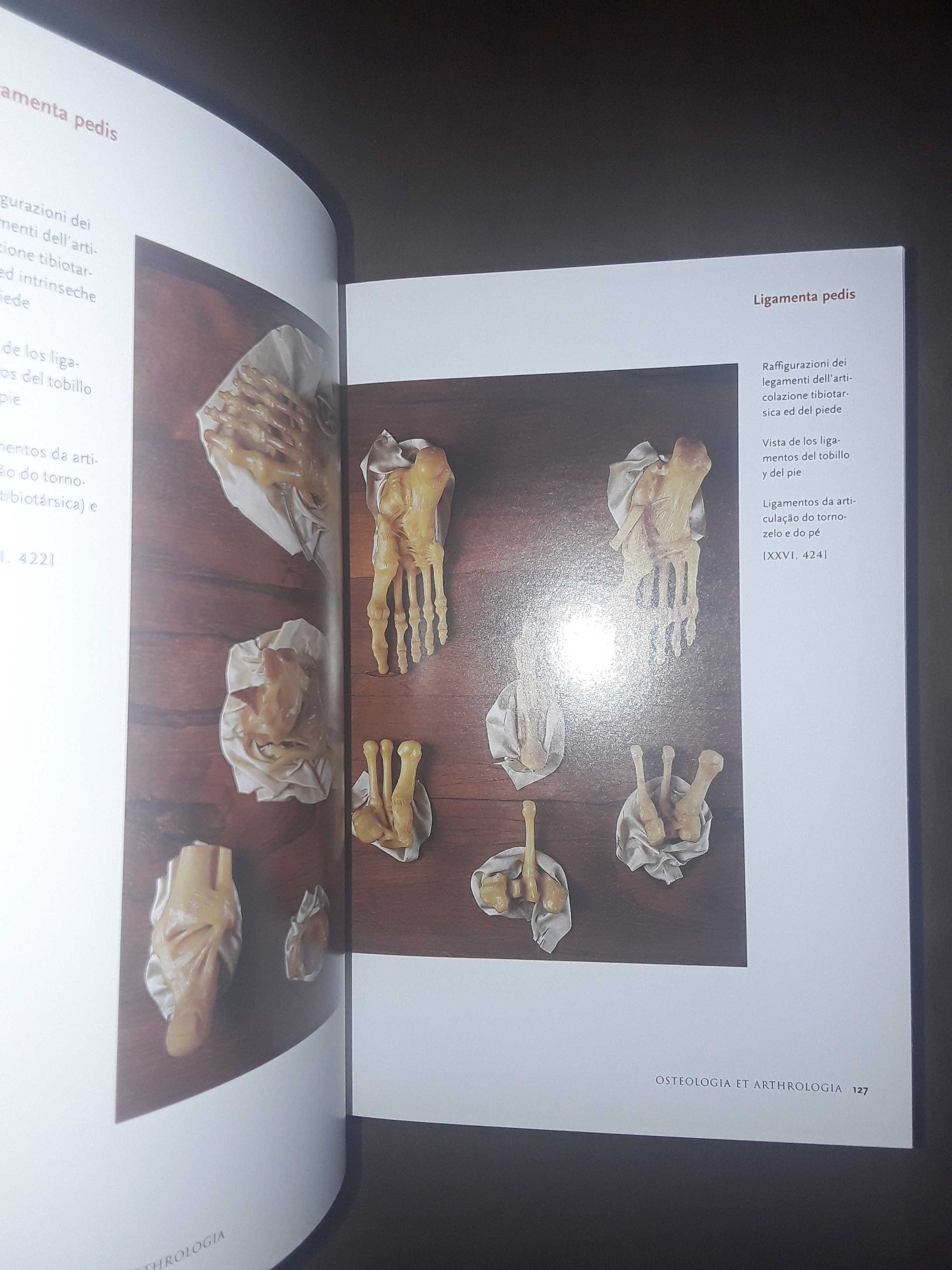 Encyclopaedia Anatomica Taschen