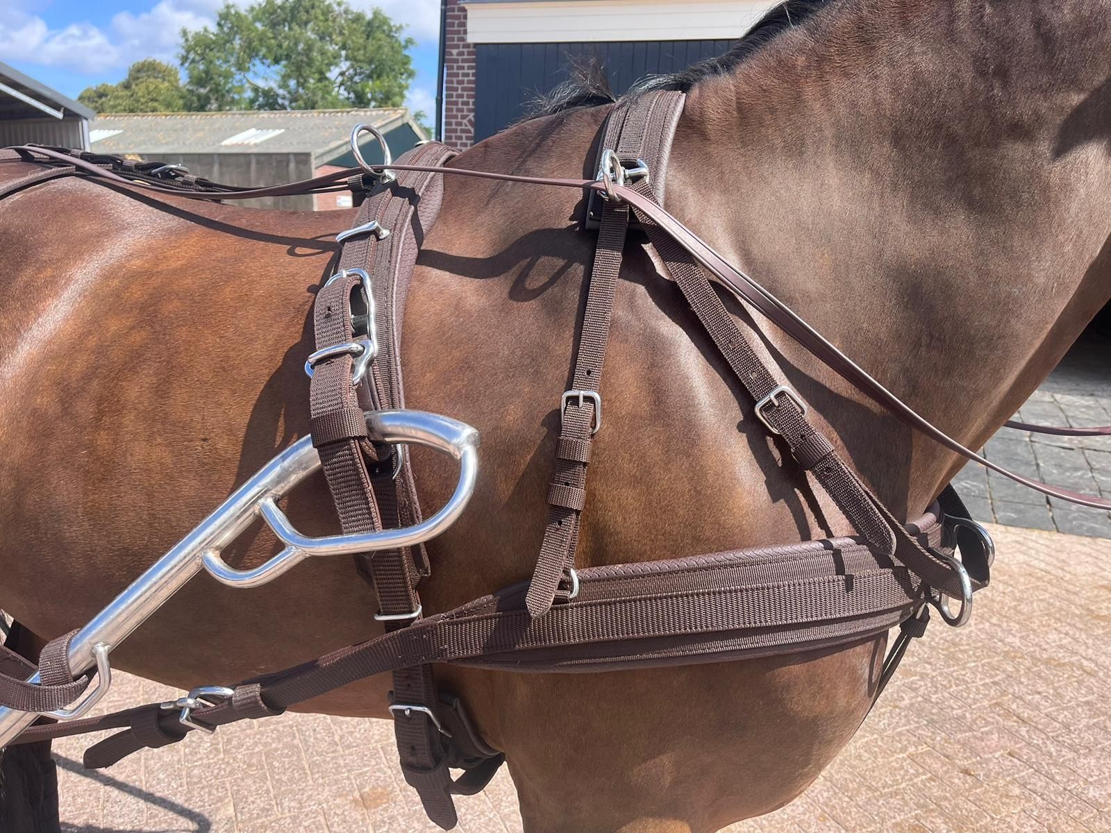 Arreios de Atrelagem "WEBTECH" IDEAL EQUESTRIAN - NOVOS
