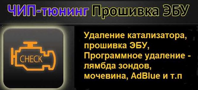 Удаление катализатора, прошивка ЭБУ, Программ. удаление -лямбда зондов