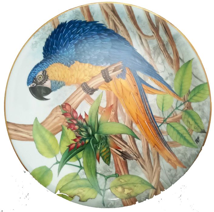 Jóias Vivas da Floresta Tropical - - - - - Pratos