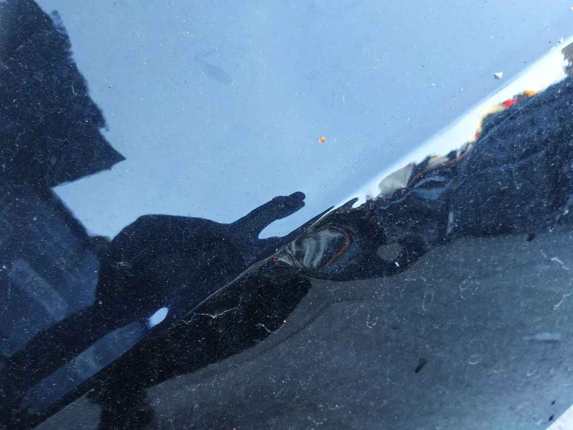 Volvo XC90 16- Крило зад R дефект KL1262 31416318