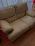 Vendo Sofá-Cama de Pele