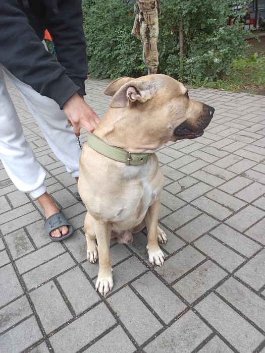 Шукаю дівчинку для в,зки