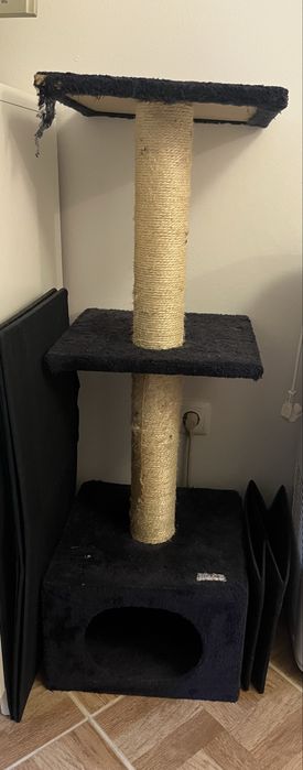 Árvore-arranhador para gatos