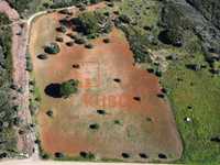 Terreno agrícola de 2ha - Almoster (Santarém)