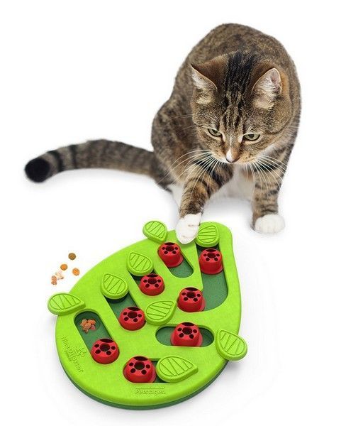 Zabawka edukacyjna dla kotów Nina Ottosson Cat Buggin Gra na przysmaki