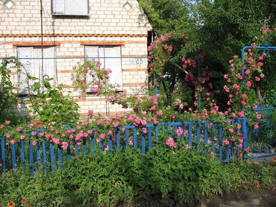 продам дачу между Песчаным и Шестаково 18 соток