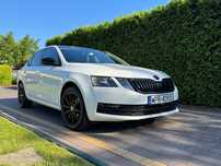 Skoda Octavia Skoda Octavia/Bezwypadkowa/Salon PL/ Serwisowana/Idelany stan.