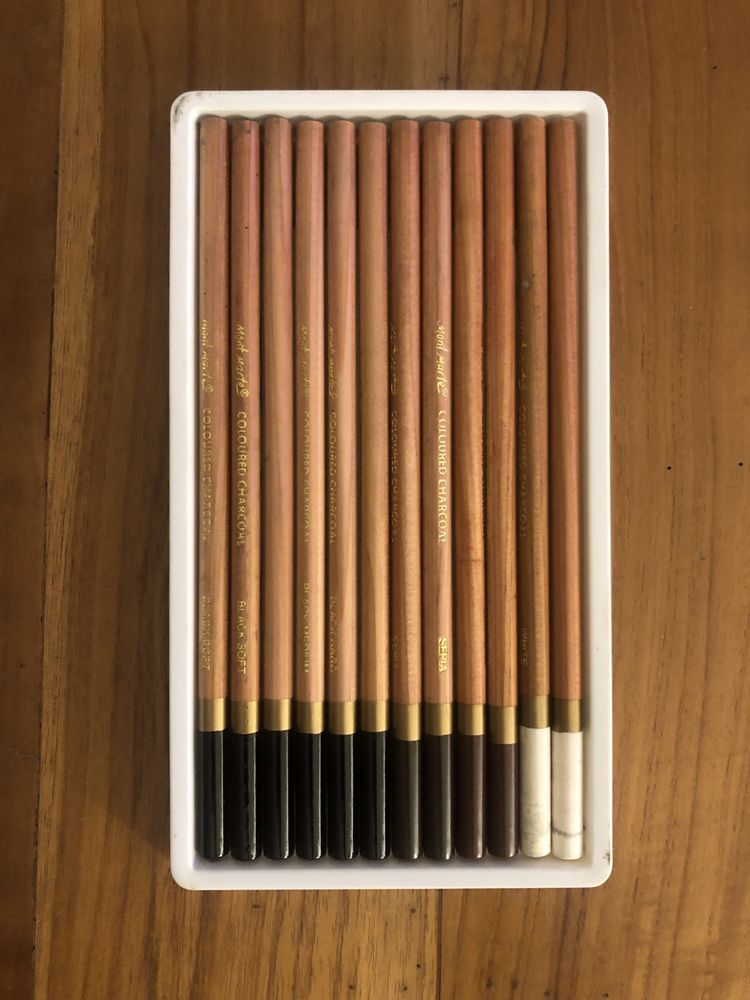 Lápis de carvão coloridos - tons terrosos