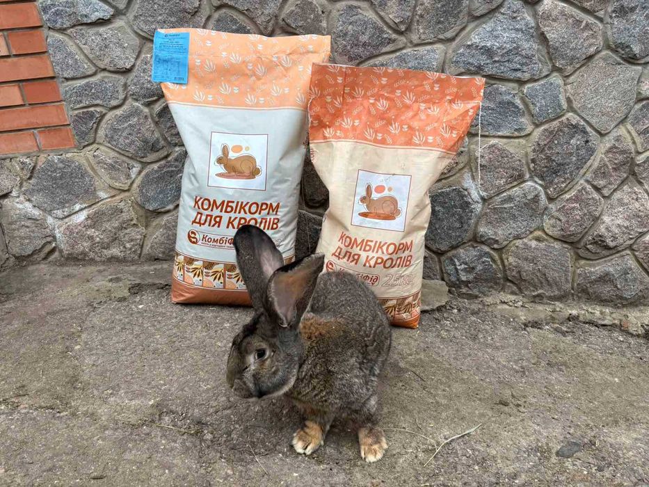 Комбікорм для кролів