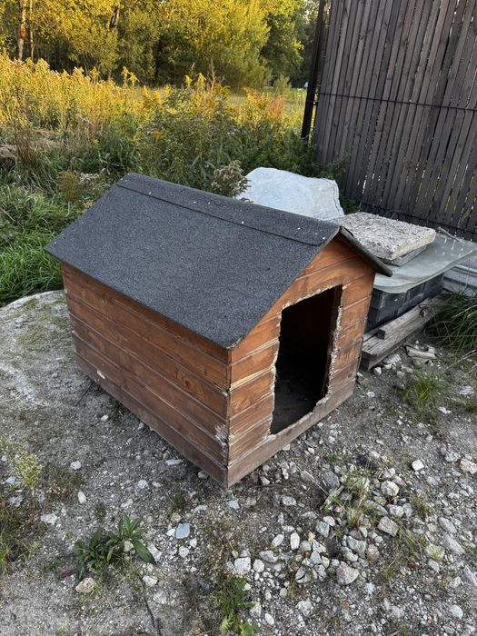 Buda dla psa za darmo