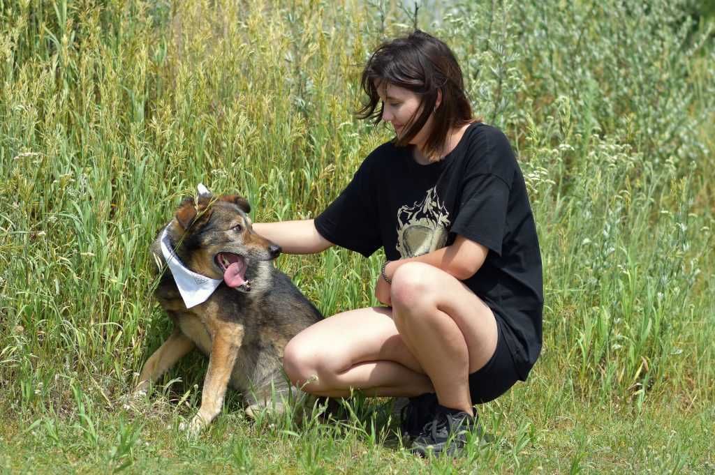 Ringo - lubi spacery oraz przytulasy i głaskanie
