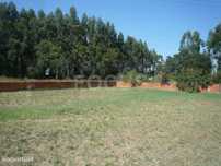 Terreno Ílhavo - Zona industrial
