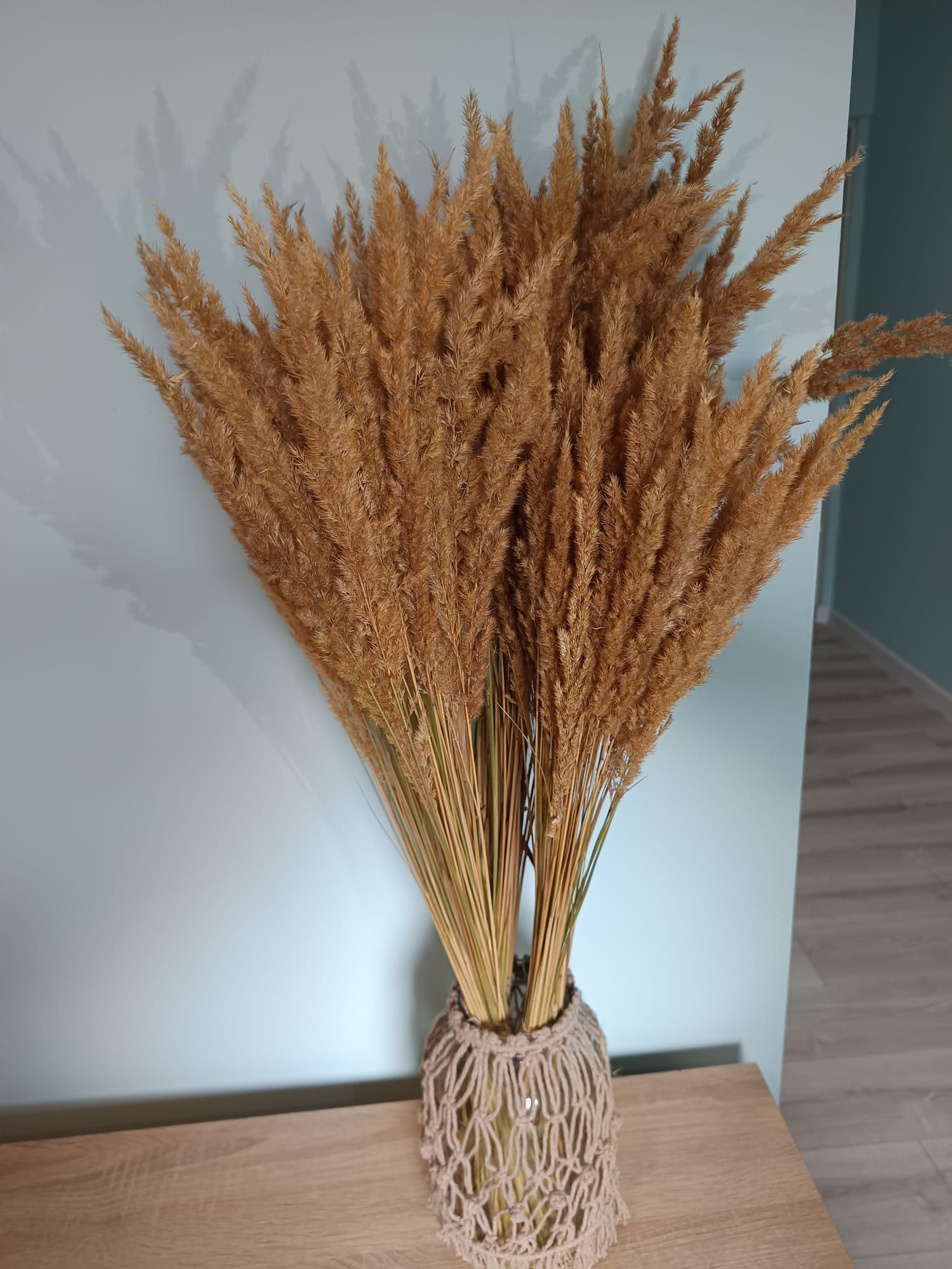Trawa ozdobna naturalna Boho ozdoba 30 sztuk 65 cm