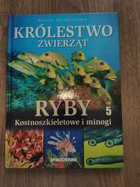 Książka Królestwo zwierząt - RYBY Wielka Encyklopedia