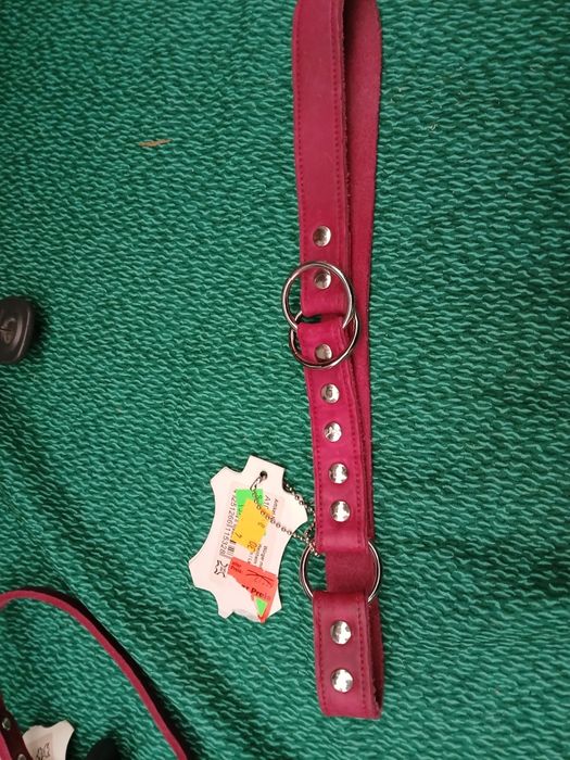Obroża dla psa das lederband 60cm
