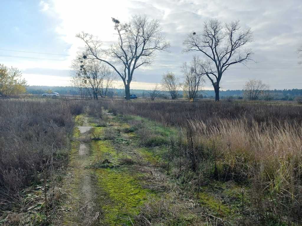 Ділянка 12 соток у Рожівці під забудову, на в’їзді в село