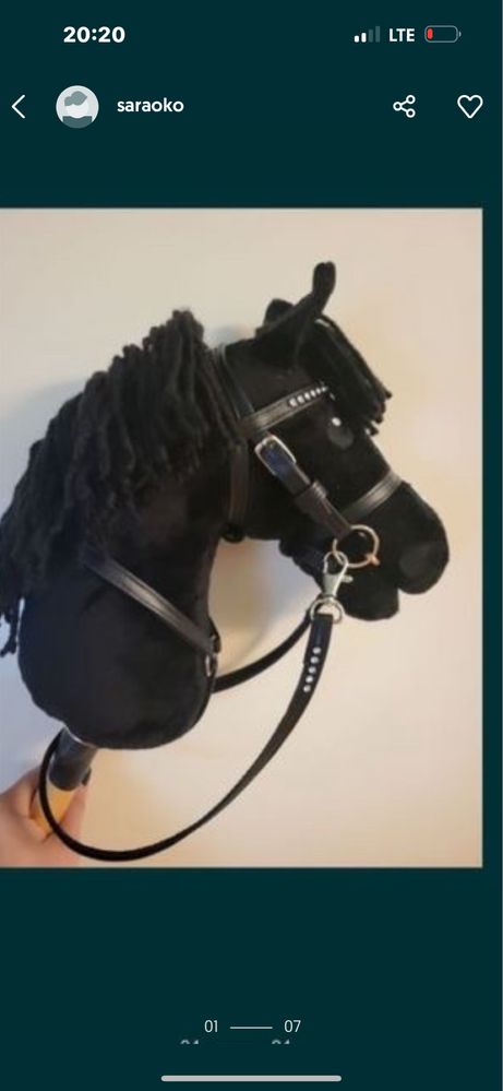 Hobby horse kary