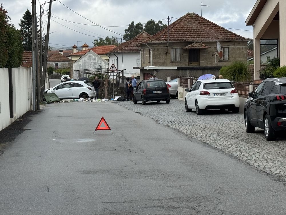 Suspensao/amortecedores citroen c2  eibach blistein