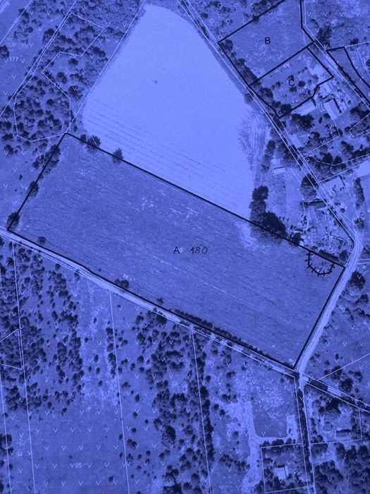 Działka rolna w Dorohuczy (gmina Trawniki)