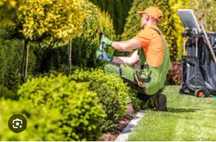 Serviços de jardinagem