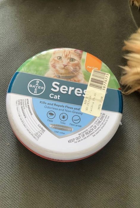 Coleira antipulgas seresta para gatos