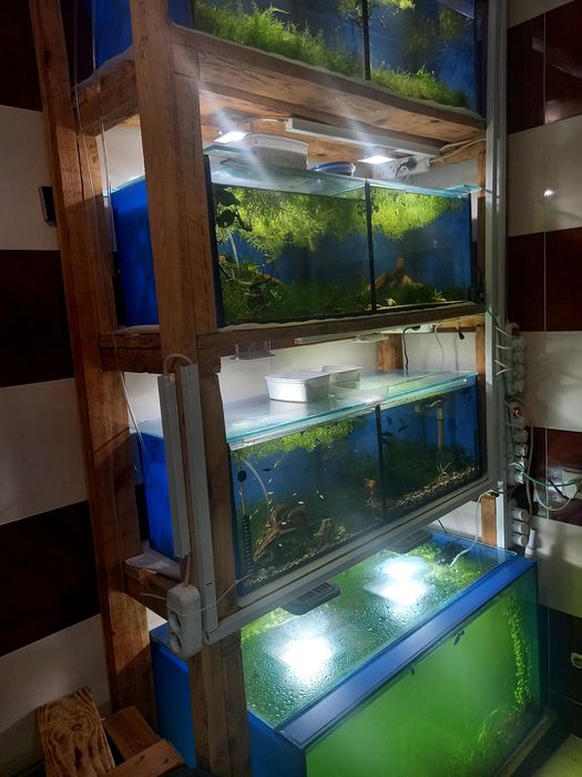 Стелажи деревяные для аквариумов.