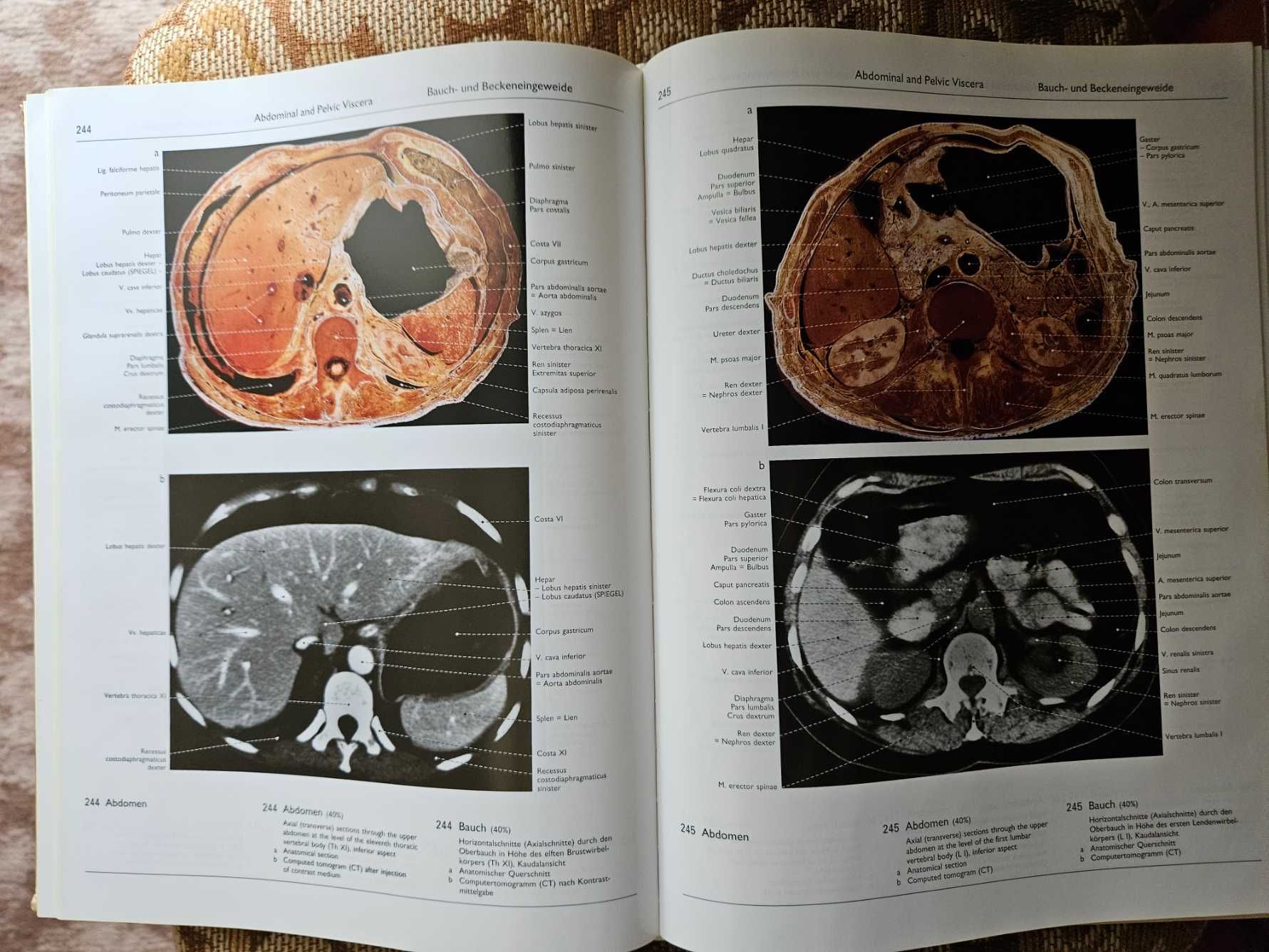 Atlas of Human Anatomy 2 Petra Kopf-Maier Karger j.angielski/niemiecki