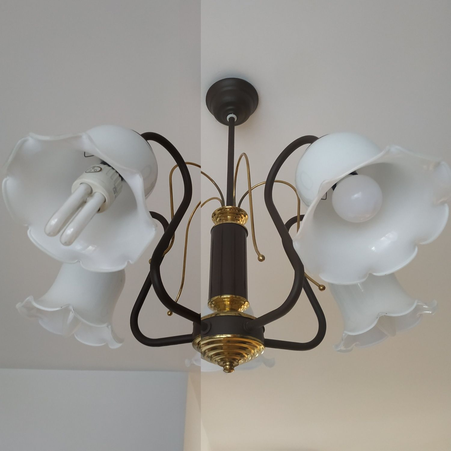 Lampa sufitowa wisząca 5 kloszy