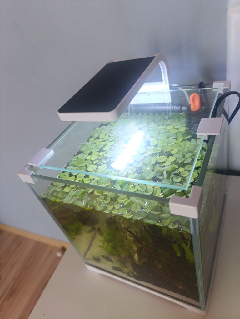 Akwarium 10 litrów