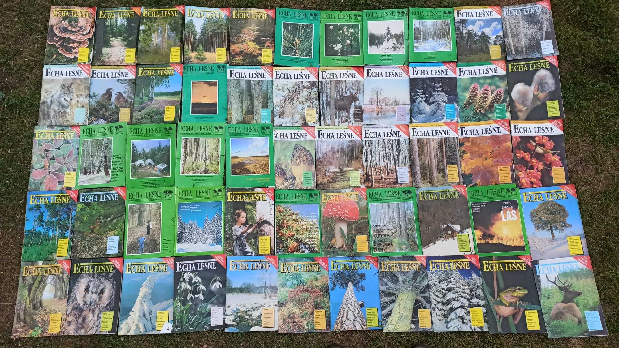 Echa leśne - czasopismo, 107 sztuk z lat 1991 - 2001