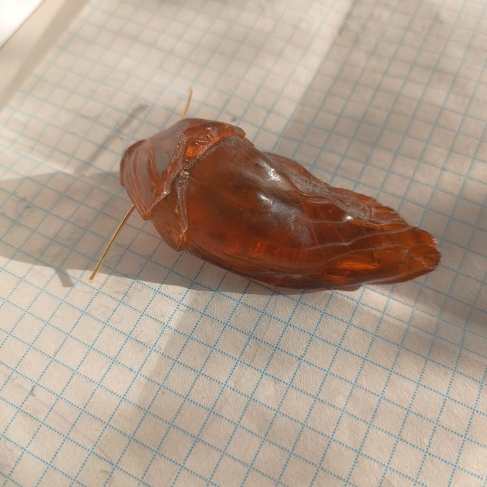 Великий янтарний кулон.