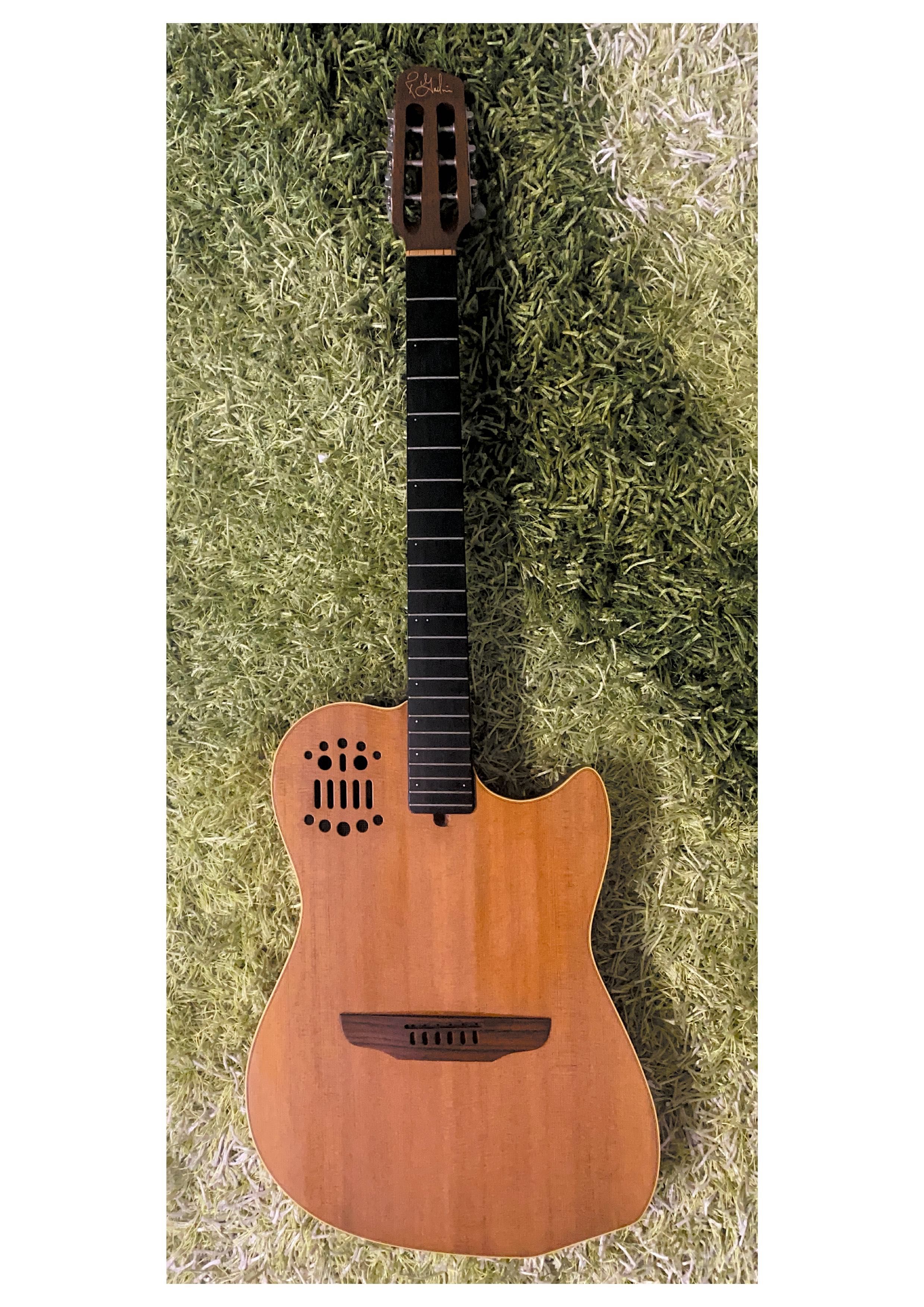 Guitarras especiais e raras