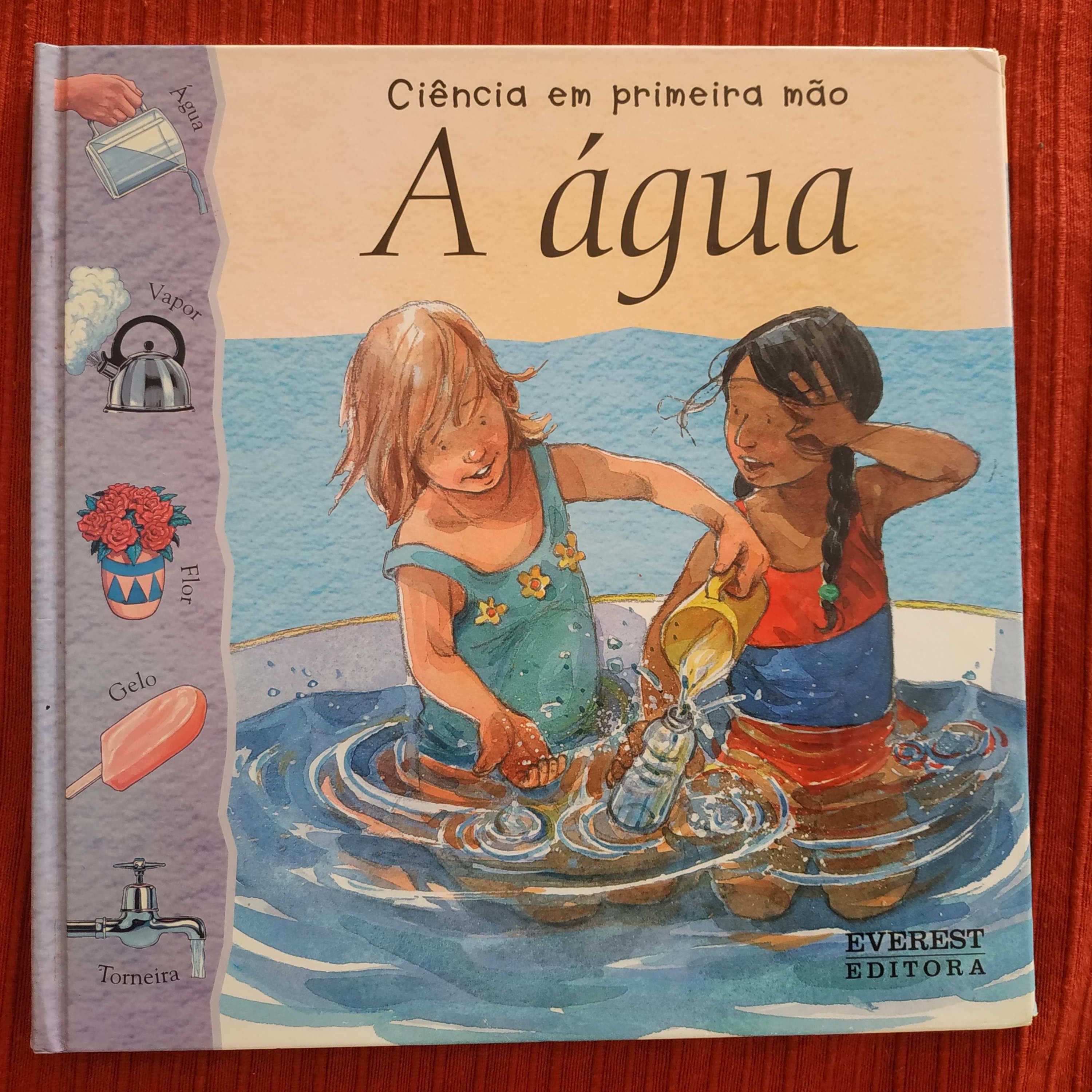 Livros infantis em muito bom estado