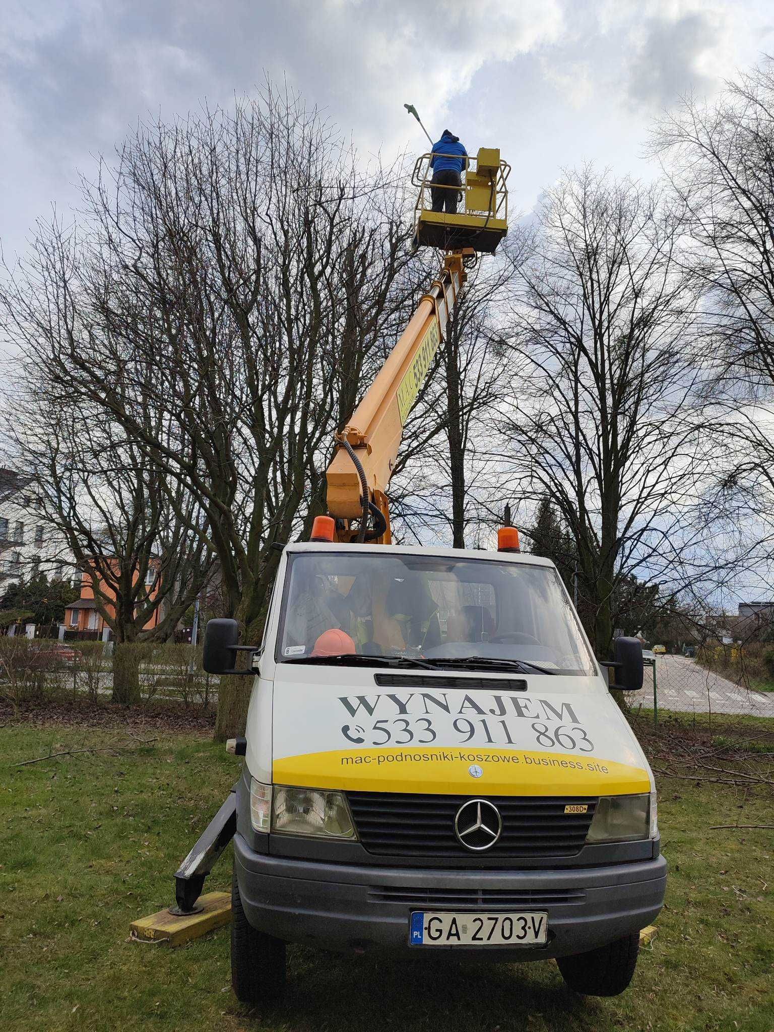 Wycinka drzew i pielęgnacja z podnośnika 20m. Trójmiasto i okolice